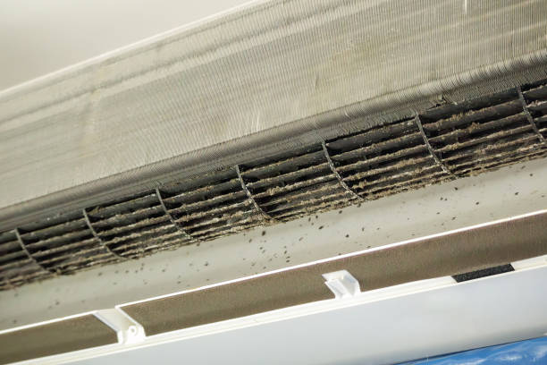 Best Duct Cleaning for Offices  in Lake Panasoffkee, FL